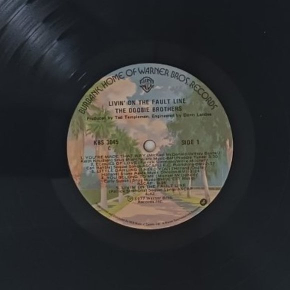 Vintage The Doobie Brothers Livin' On The Fault Line vinyl record, 1977 original - Picture 12 of 12